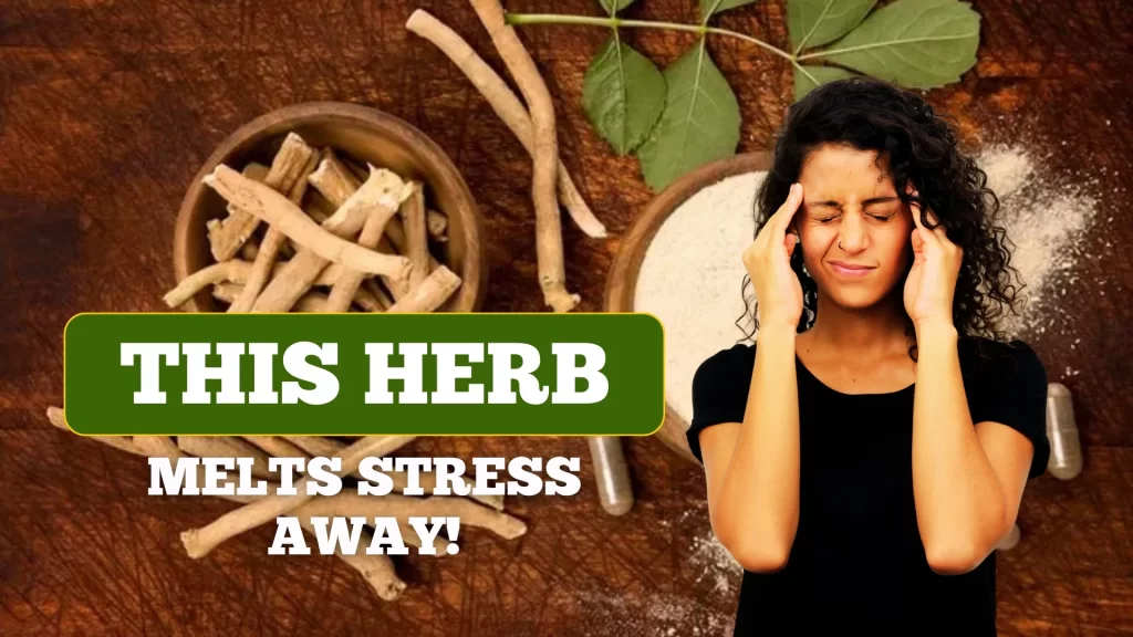 Ashwagandha Benefits - The Ultimate Stress Relief Herb | Ayubal Wellness