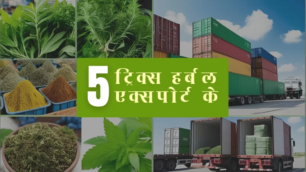 herbal products export - Ayubal Wellness