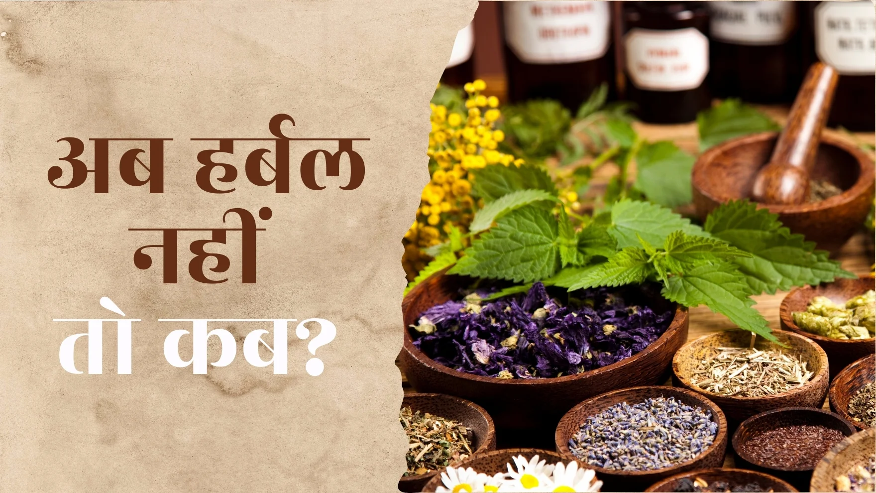 आज का जमाना आयुर्वेदिक प्रोडक्ट्स का है, आपका बिजनेस तैयार है?